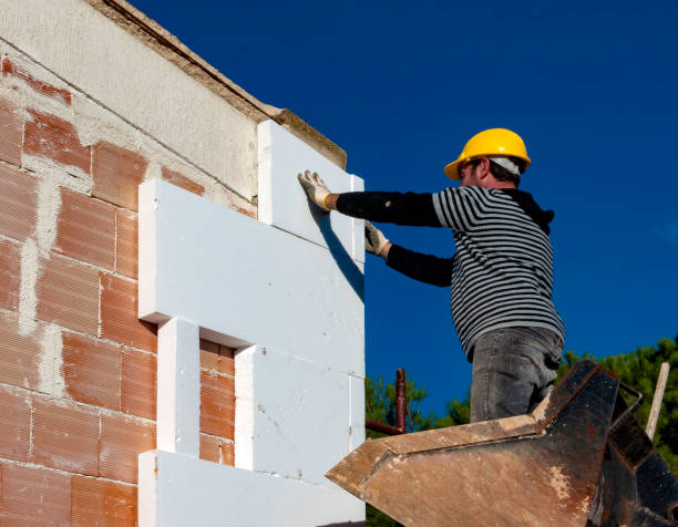 Best Crawl Space Insulation  in Velva, ND
