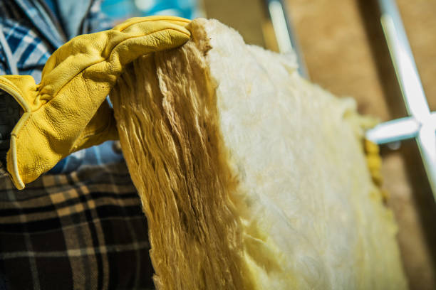 Best Spray Foam Insulation  in Velva, ND