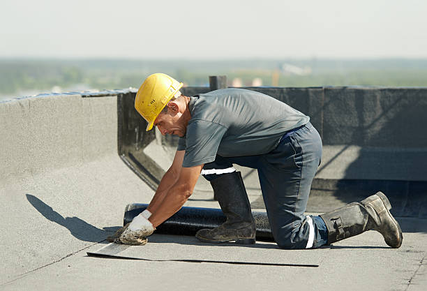 Best Commercial Insulation Contractor  in Velva, ND