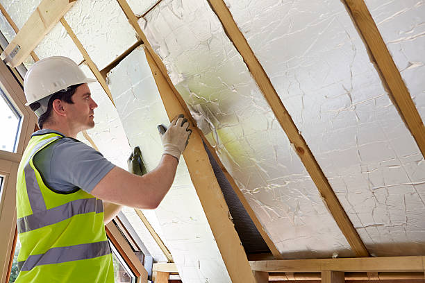 Best Local Insulation Services  in Velva, ND