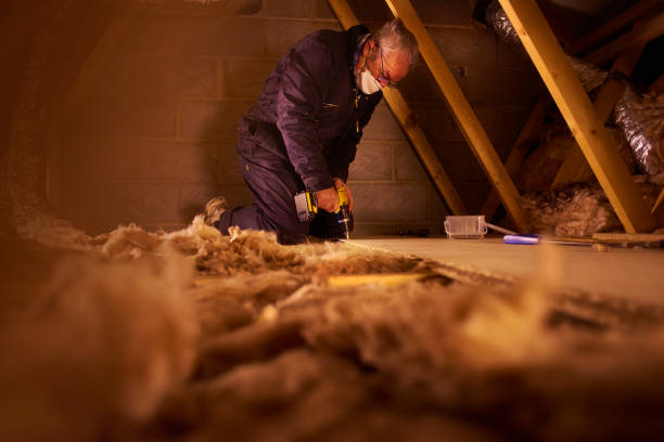 Best Insulation Contractors for Homes  in Velva, ND