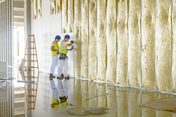 Best Wall Insulation Contractor  in Velva, ND